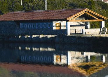 1. Centros molino SANTA OLAJA1